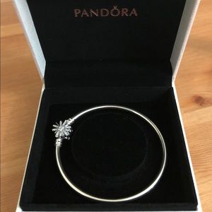 Pandora Fireworks Bangle 19cm
